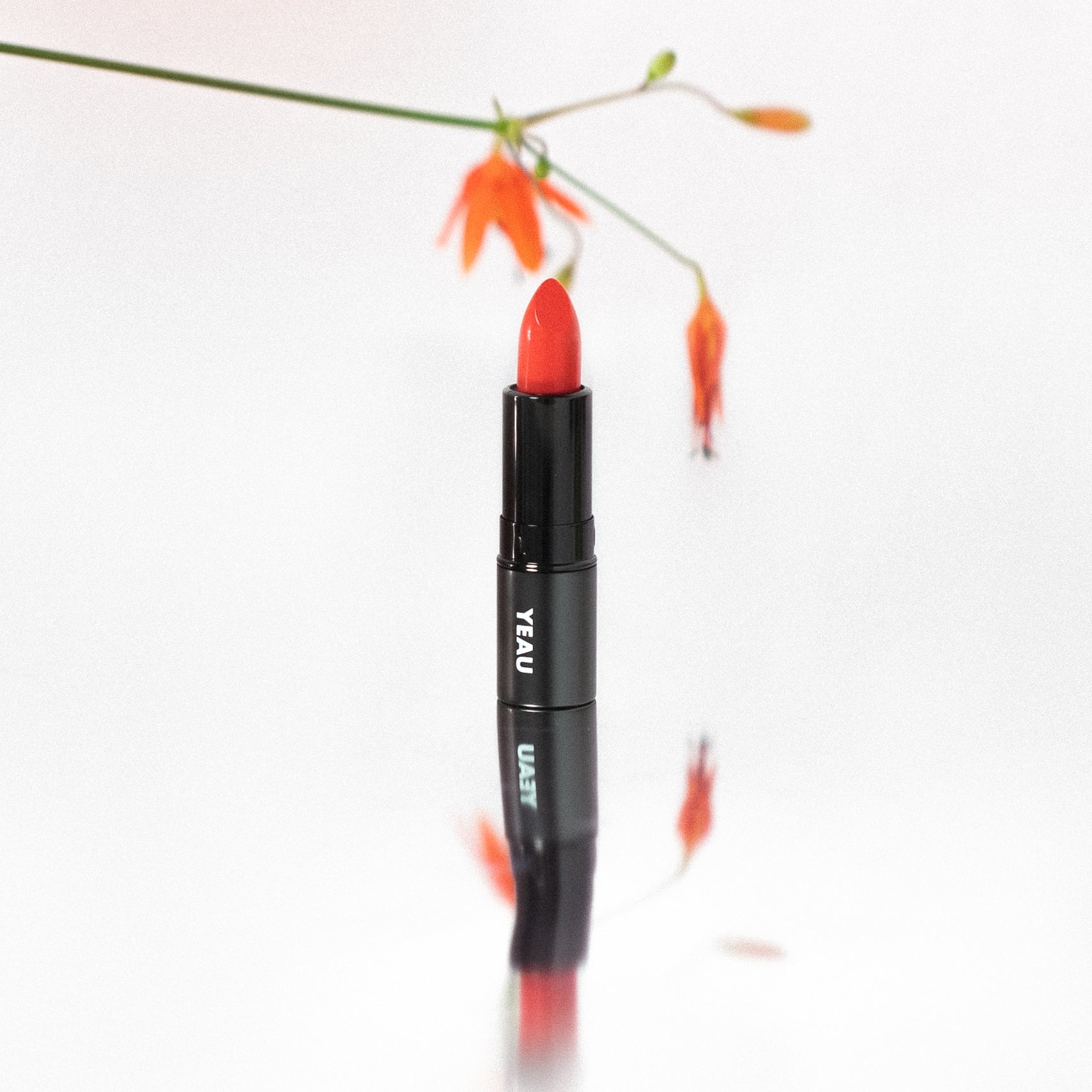 YEAU affection matte lip stick 04 : naughty coral